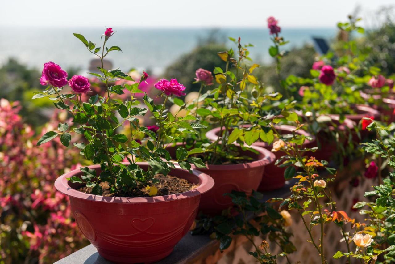 Veranda Beach Place Hotel Phan Thiet Bagian luar foto